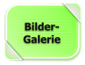 Bilder- Galerie